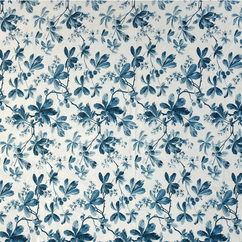 Blue Vine