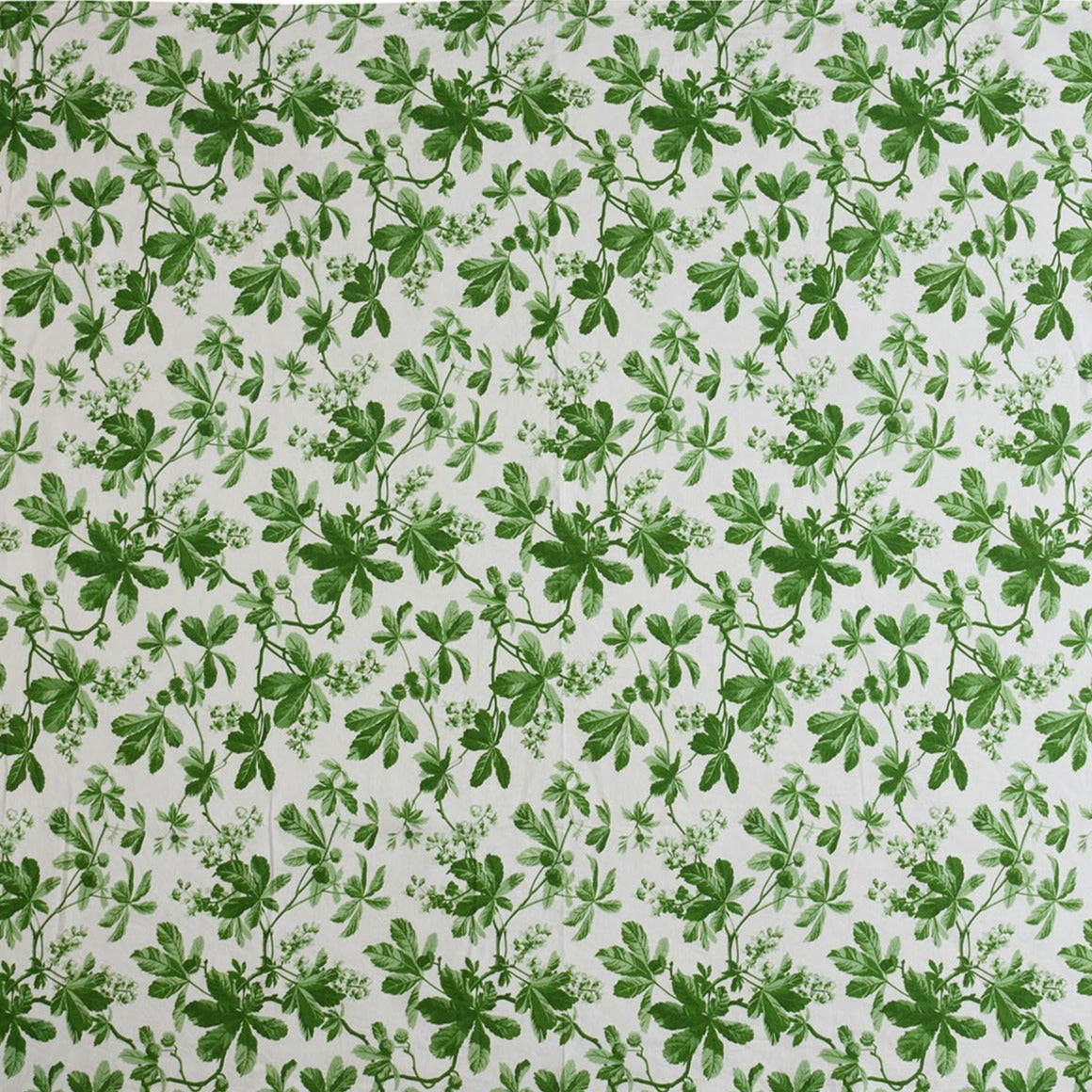Green Vine