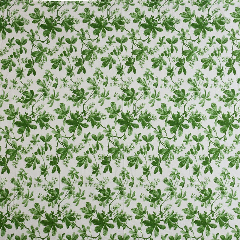 Green Vine
